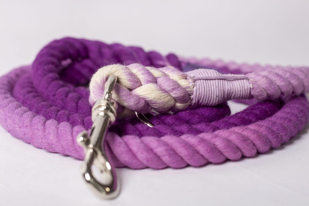 Rope Lead image 8