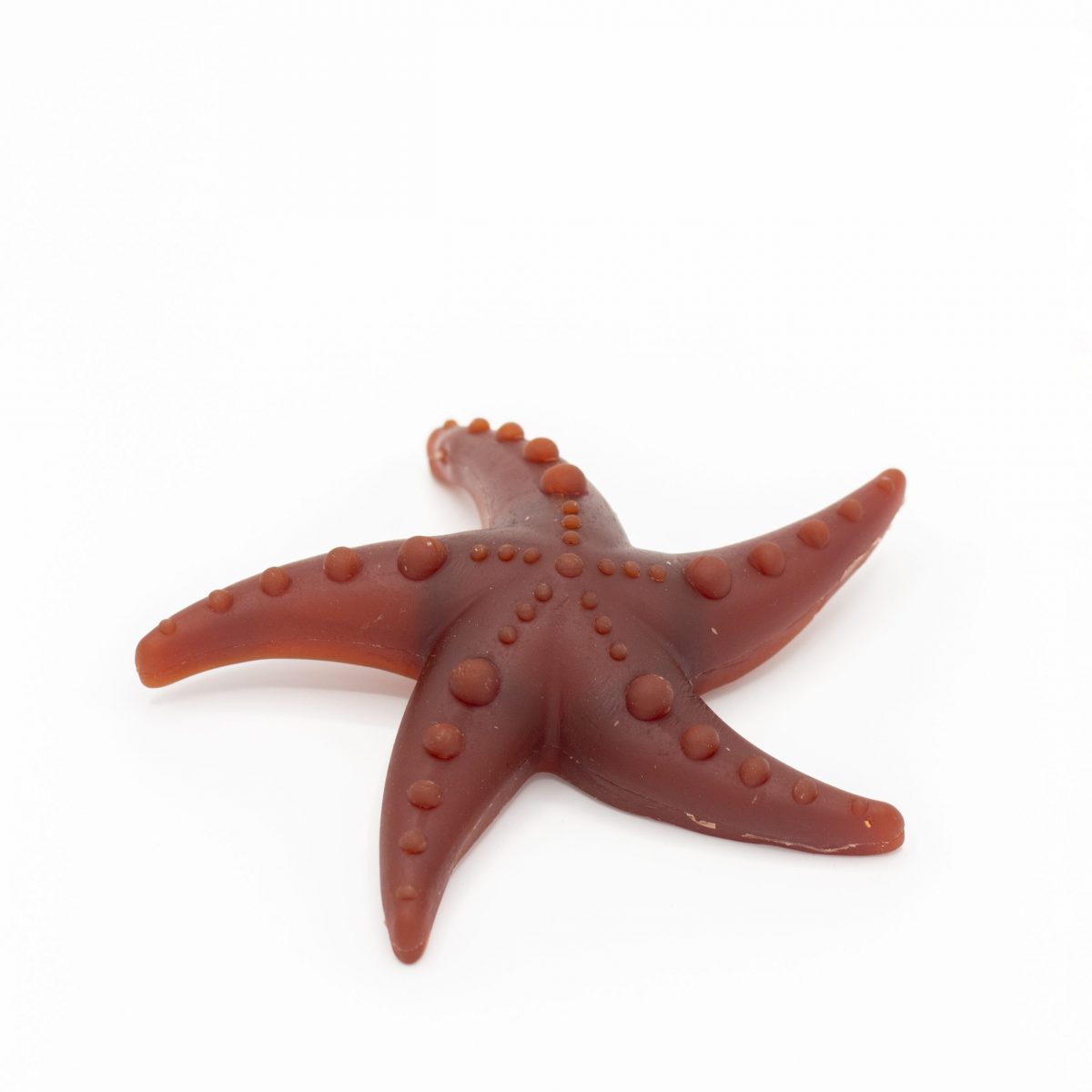 Apple, Broccoli & Mint Starfish Chew image 0