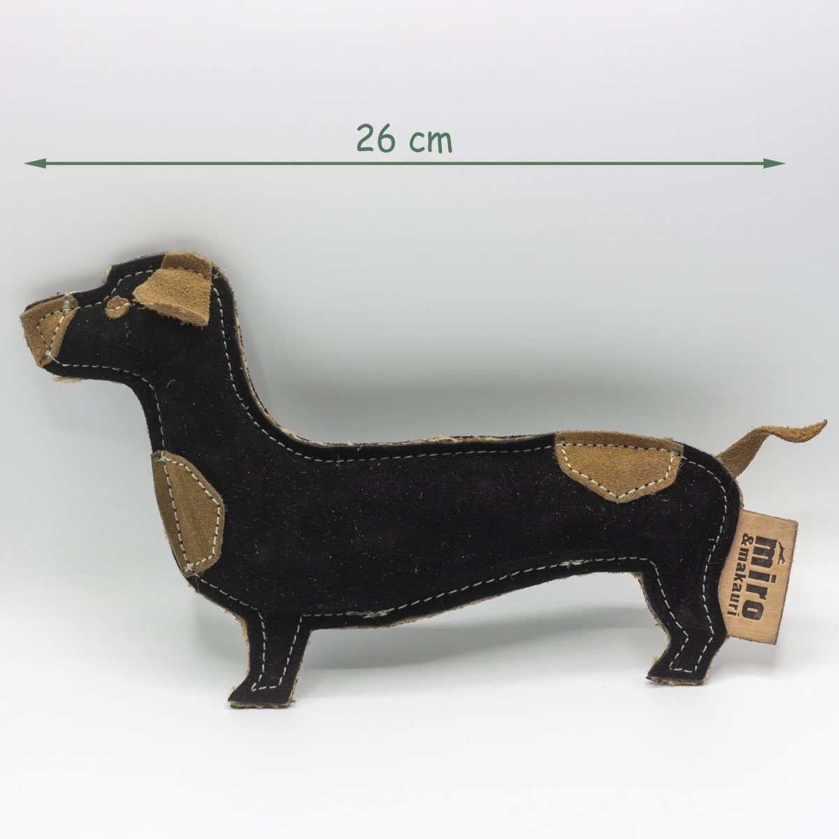 Douglas Dachshund image 2