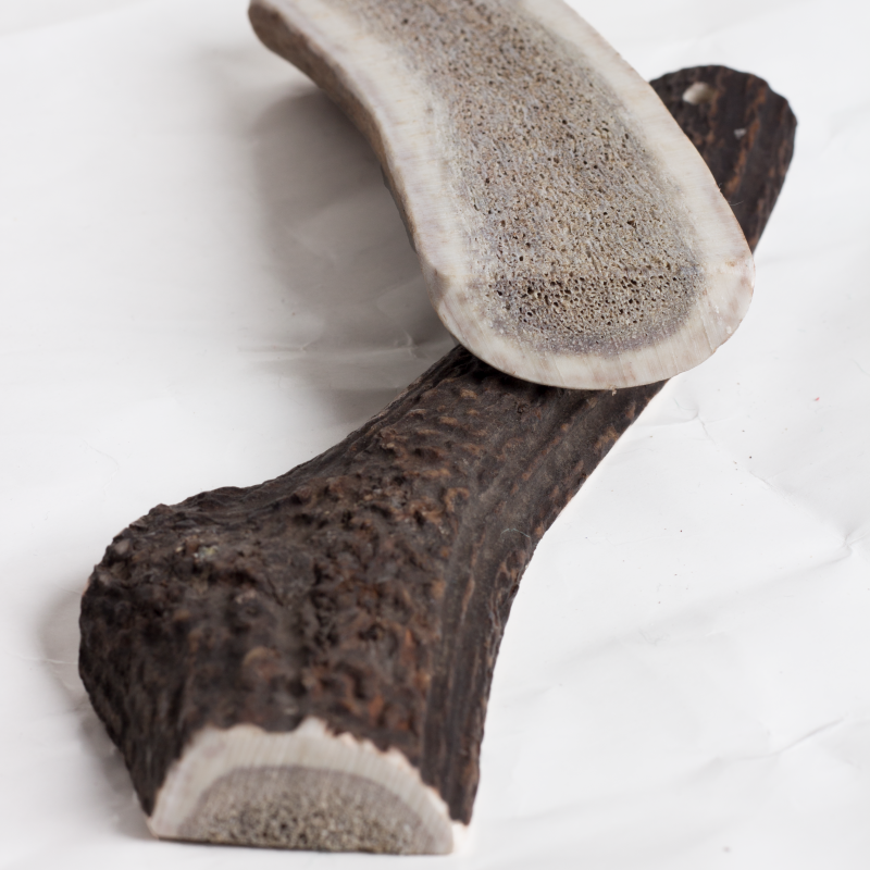 Easy Antler Chew image 3