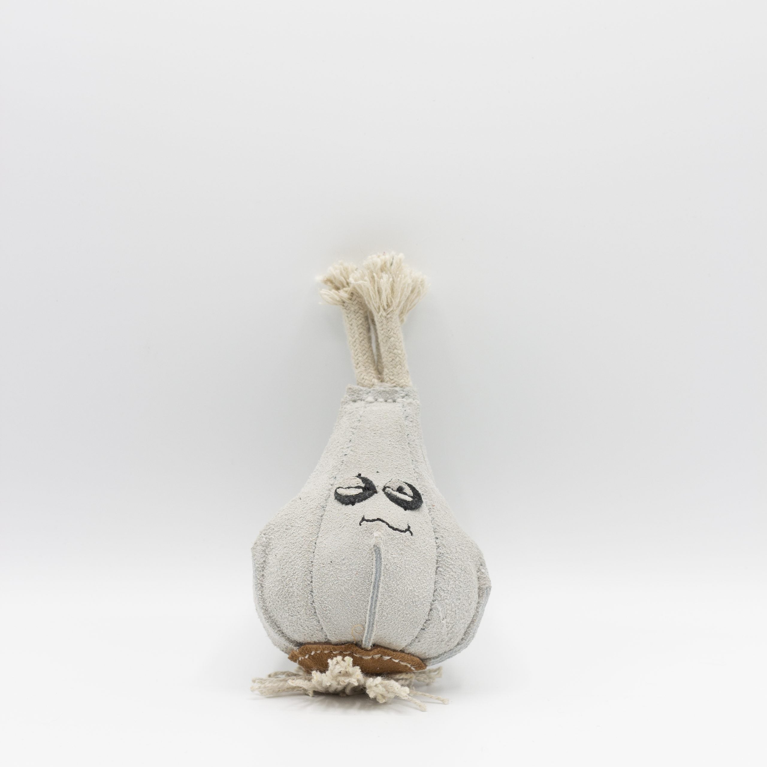 Gary the Garlic image 1