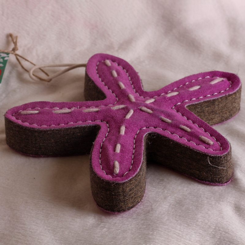 Stanley the Starfish image 2