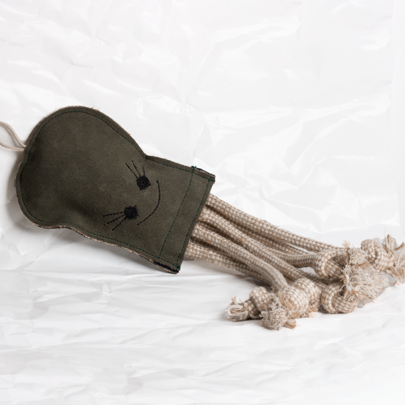 Olive the Octopus image 3