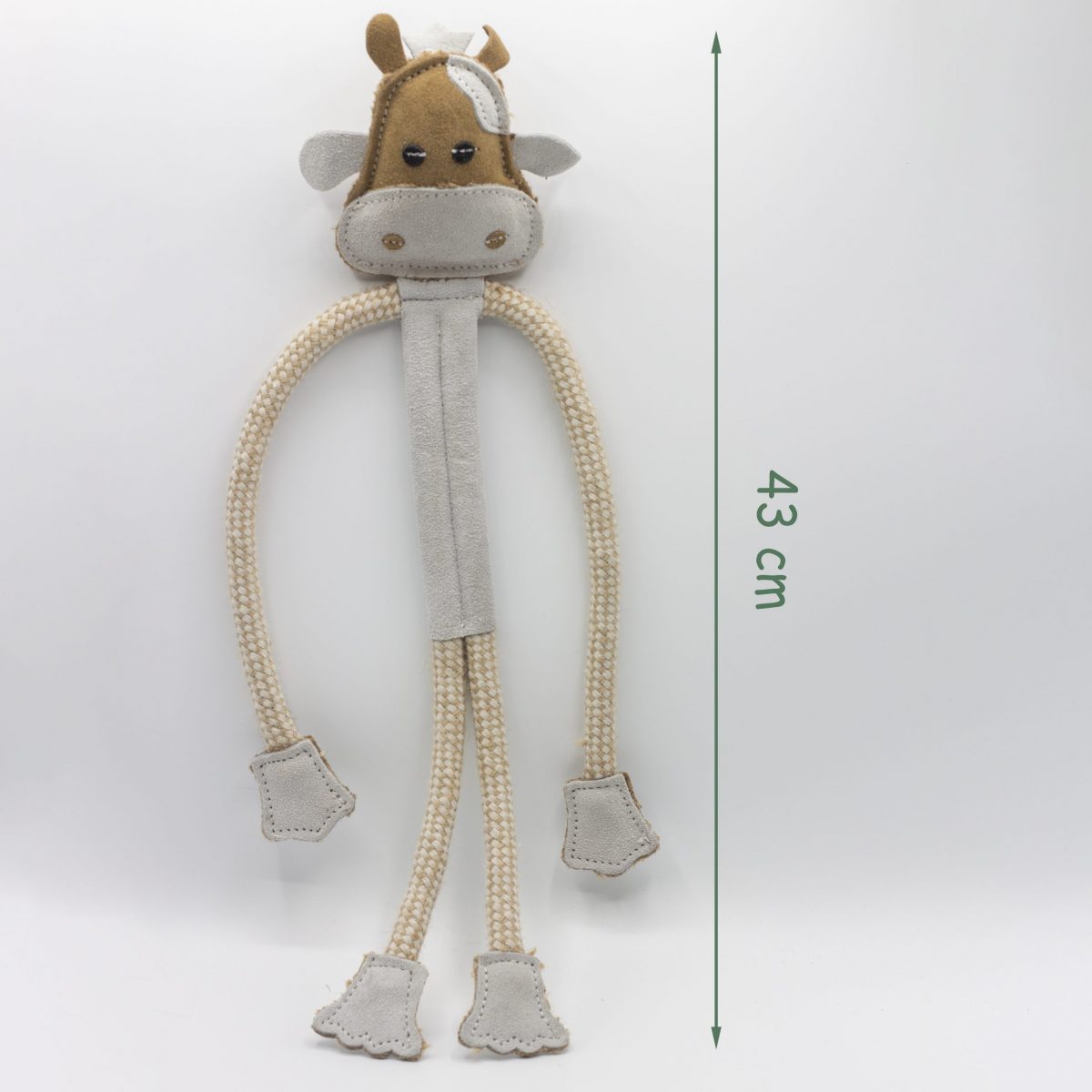 Cuthbert Cow image 3