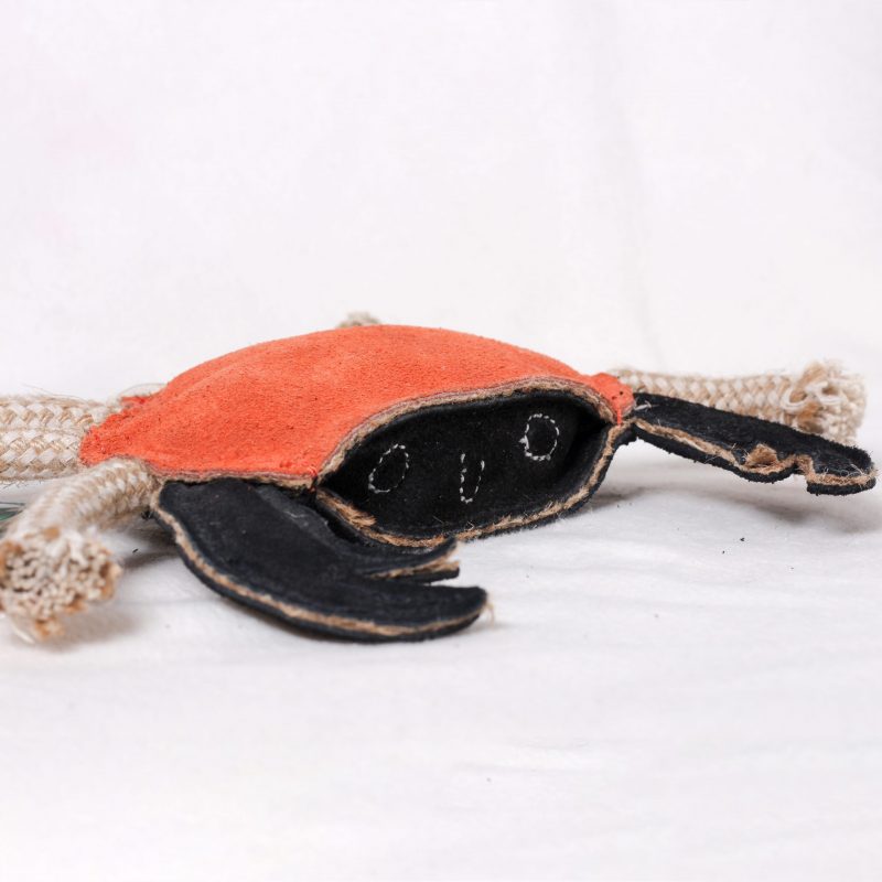 Carlos the Crab image 2