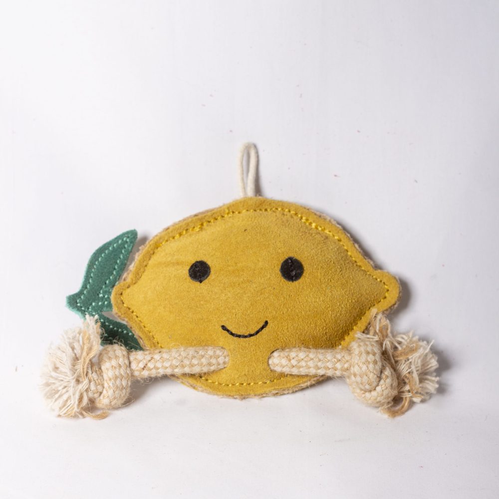 Libby the Lemon image 1