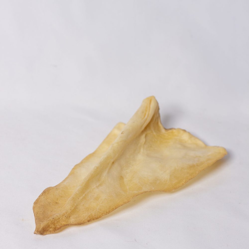 Dried Buffalo Ear image 1