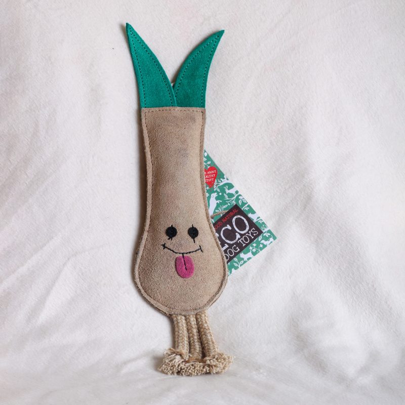 Lenny the Leek image 0