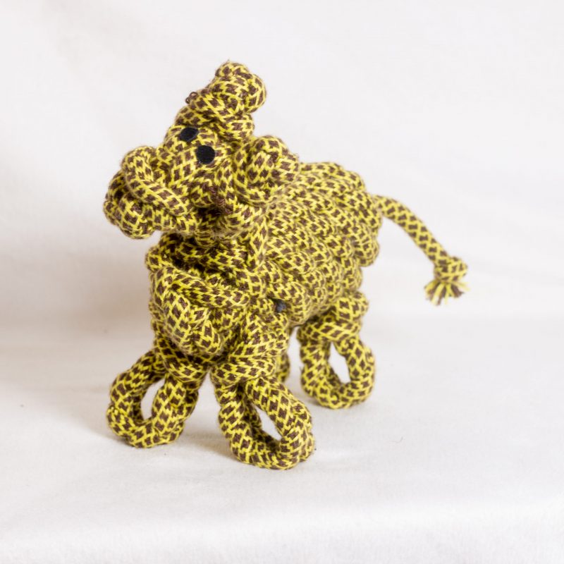 Lionel the Llama image 3