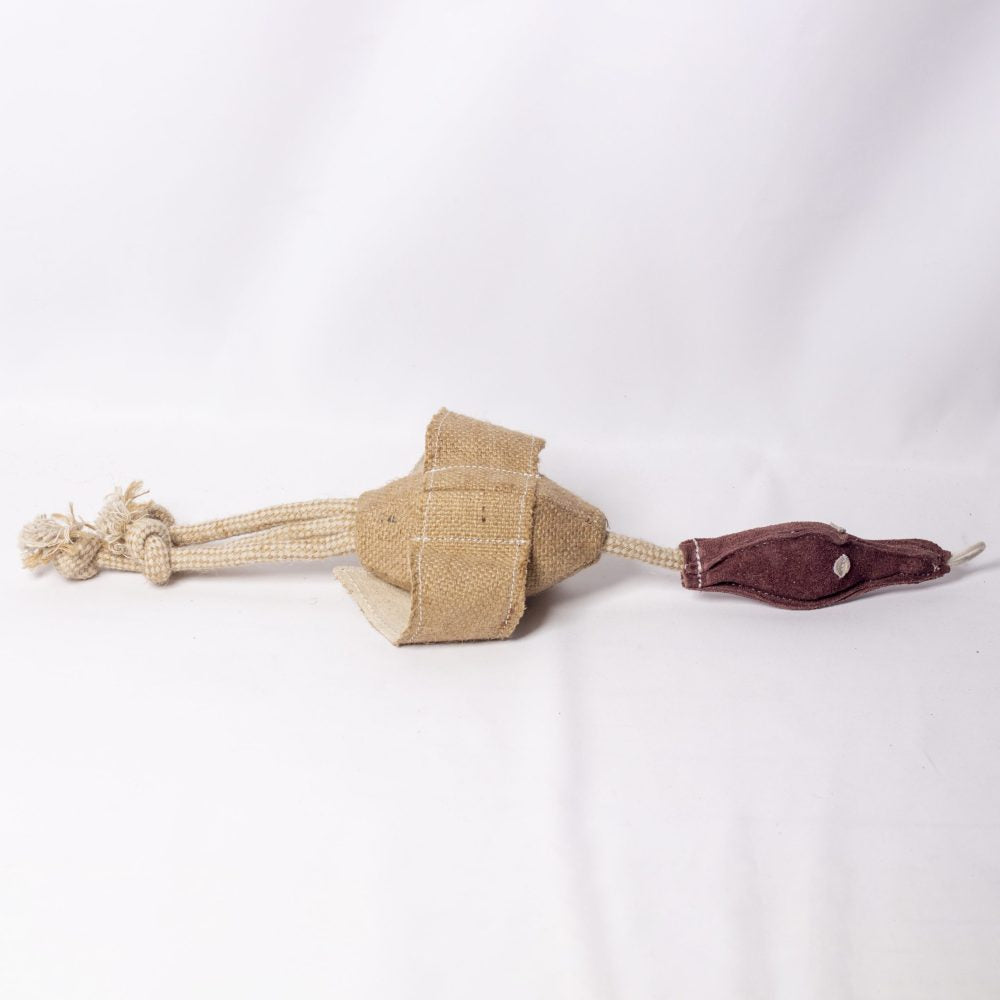 Desmond the Duck image 1