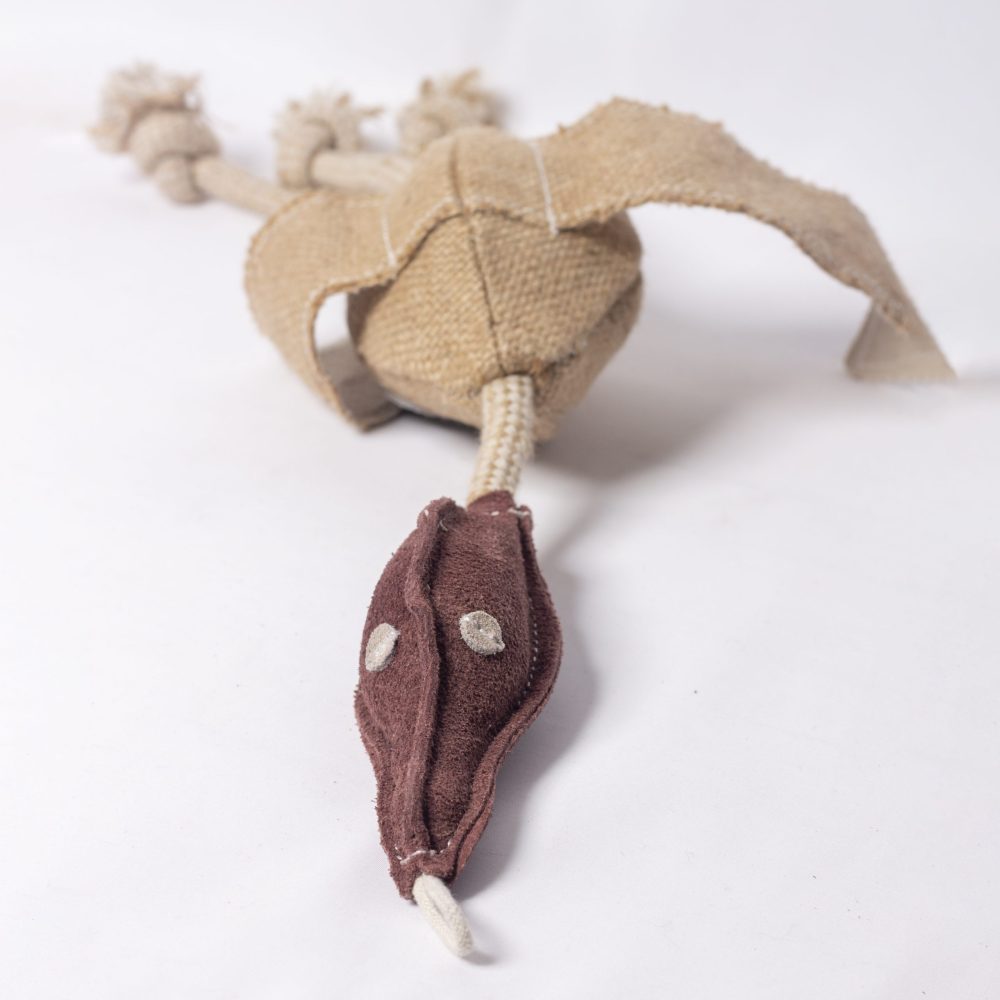 Desmond the Duck image 0