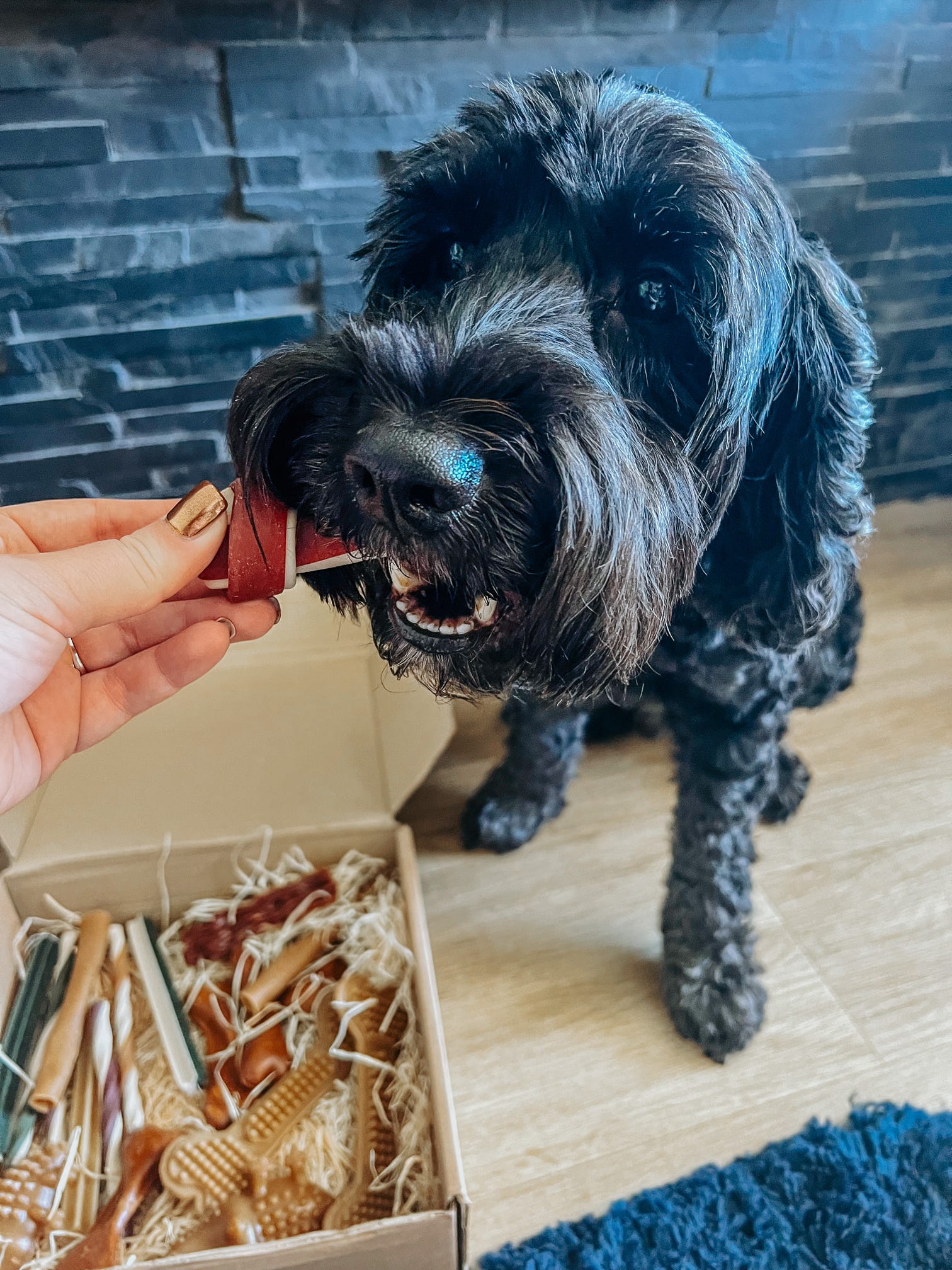 Veggie Knotted Bone image 3