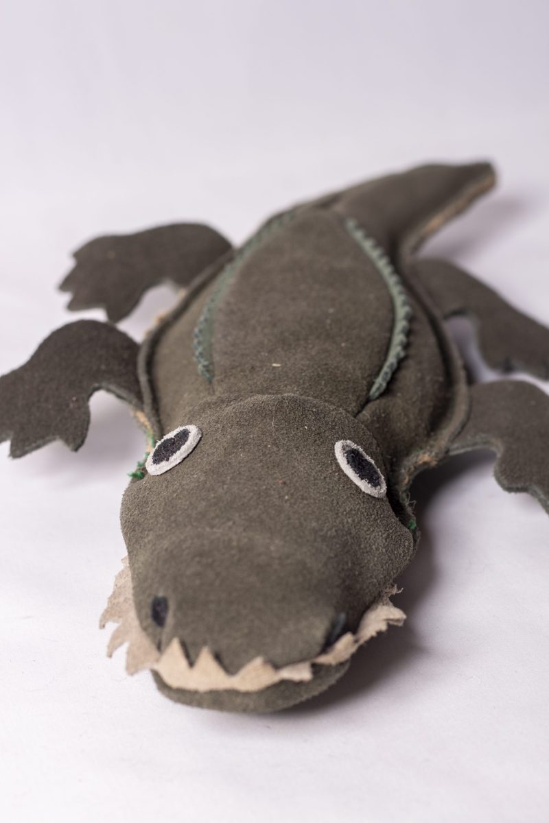 Colin the Crocodile image 2