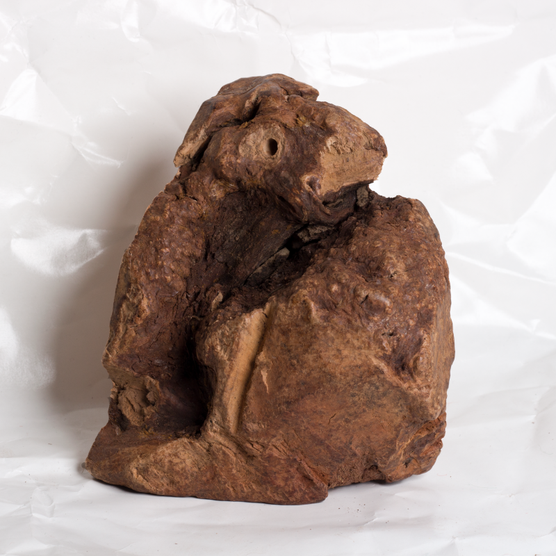 Chewroots - Medium image