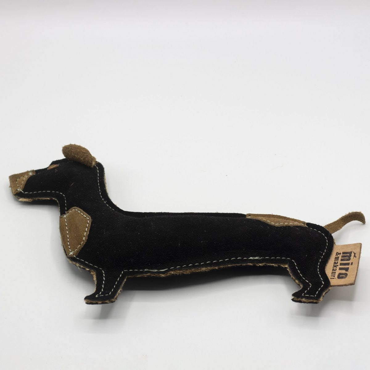 Douglas Dachshund image 0