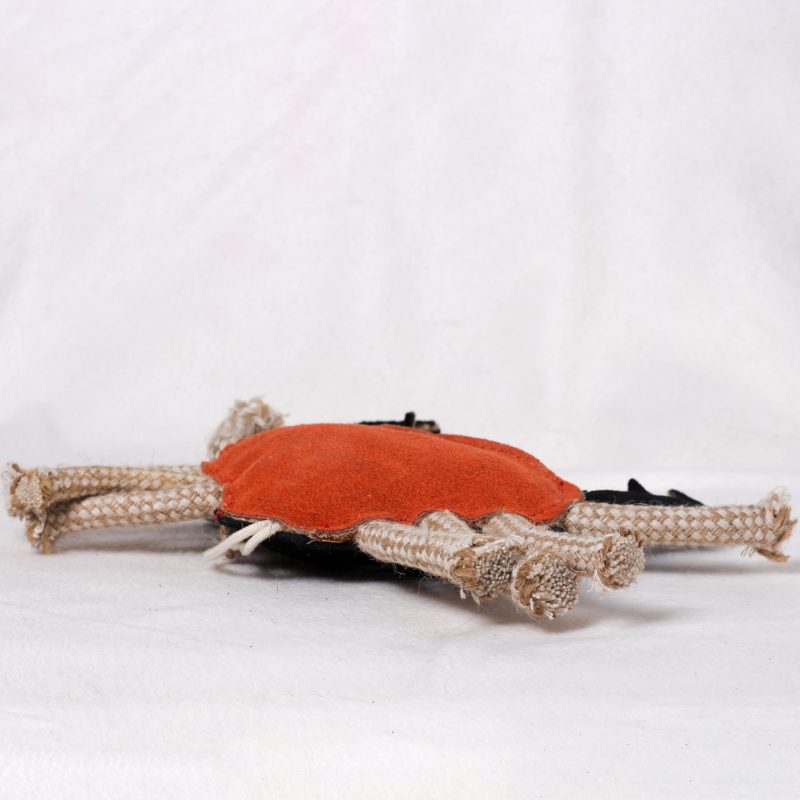 Carlos the Crab image 5