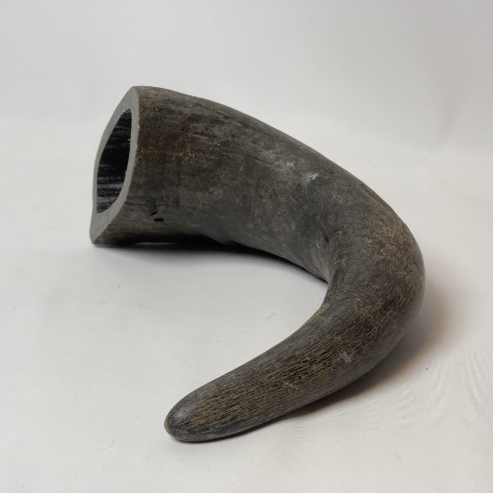 Buffalo Horn Chew image 3