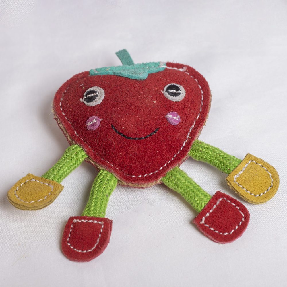 Steve the Strawberry image 0