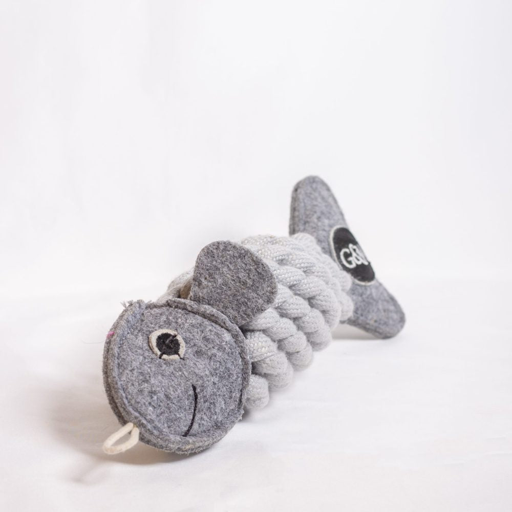 Roger the Ropefish image 1