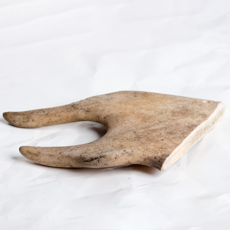 Fallow Antler Chew image 2