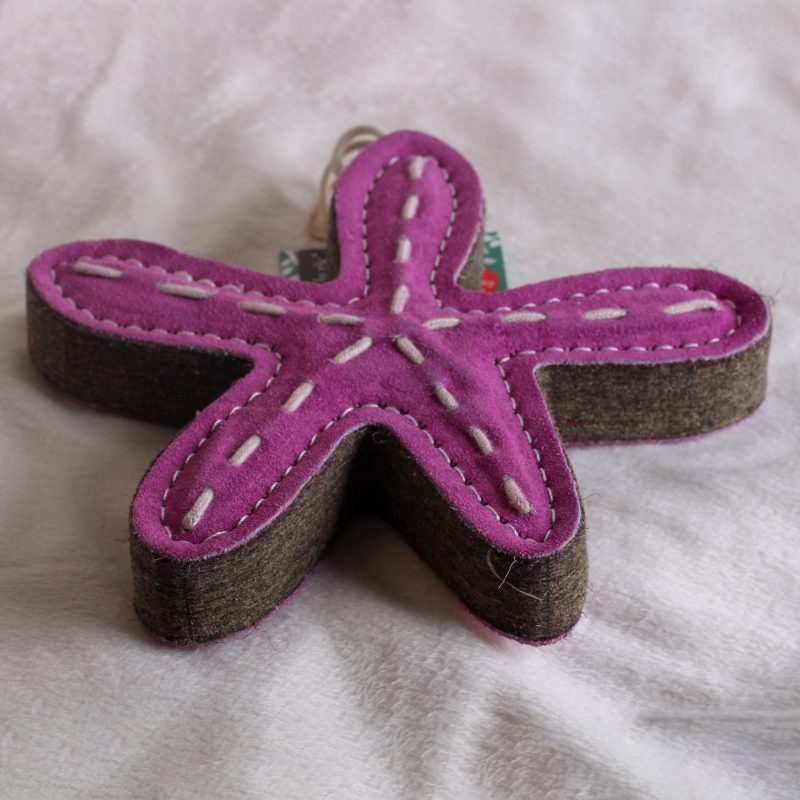 Stanley the Starfish image 1