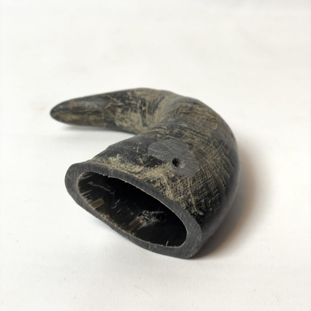 Buffalo Horn Chew image 7