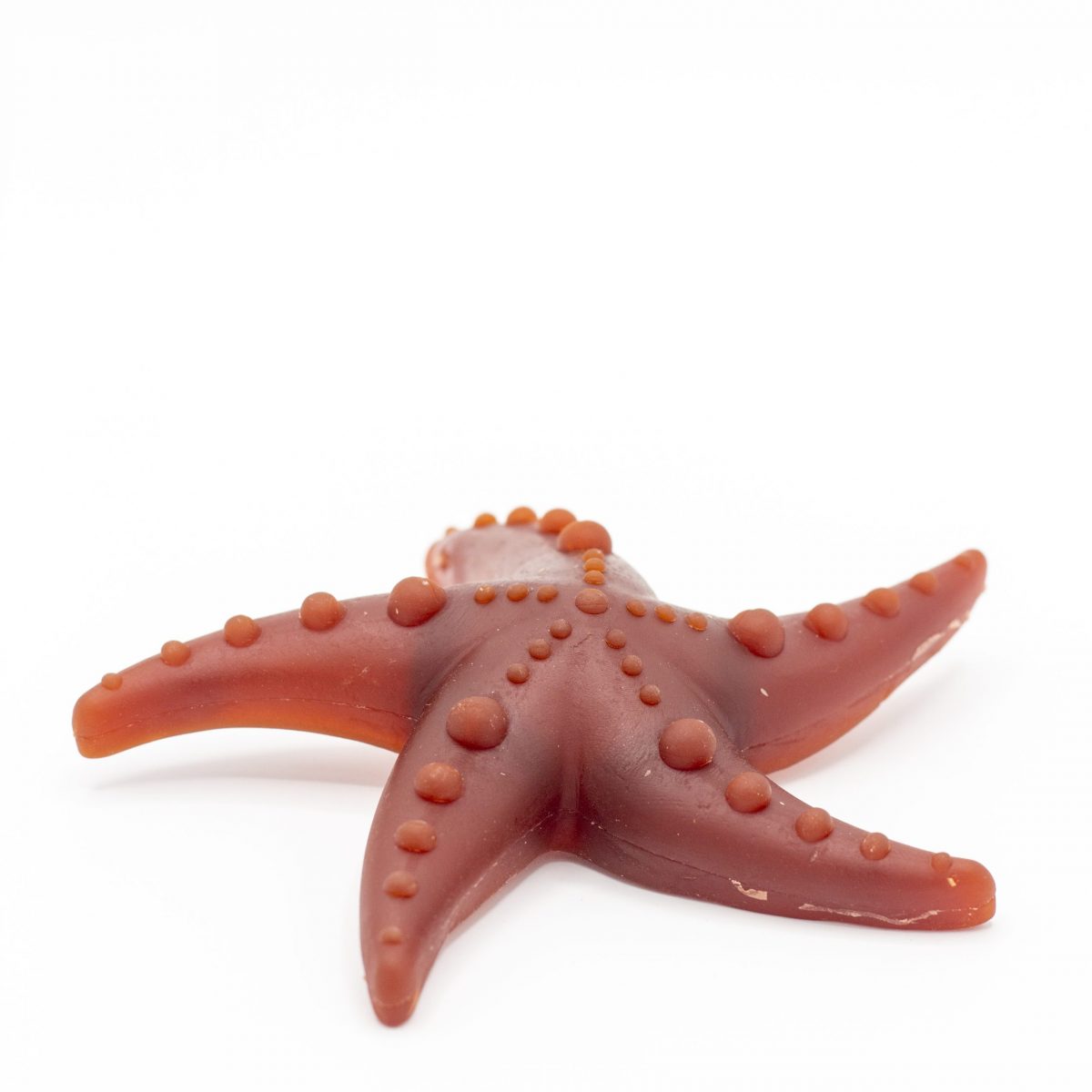 Apple, Broccoli & Mint Starfish Chew image 1