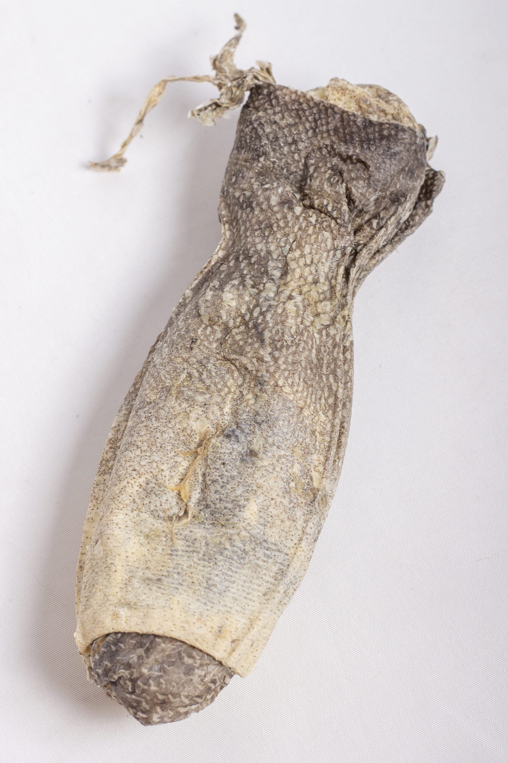 Cod Skin Chew image 2