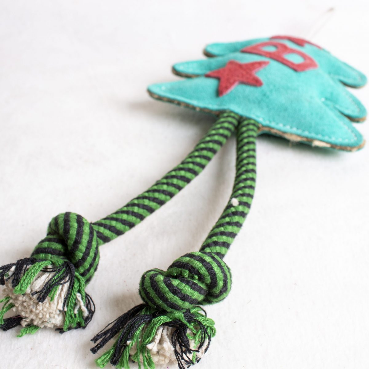 Bruce the Spruce image 1