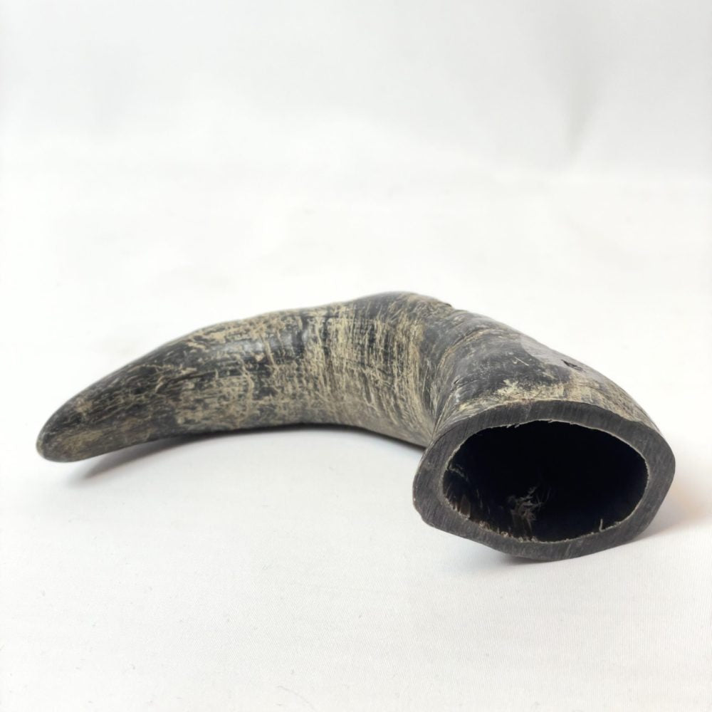 Buffalo Horn Chew image 1