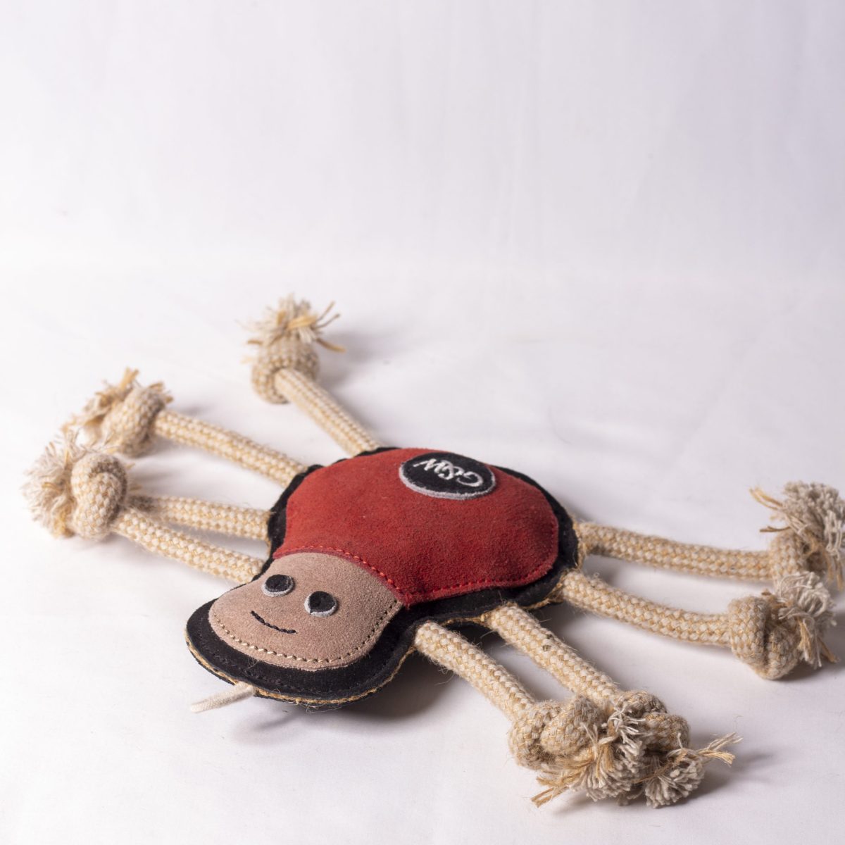 Spike the Spider image 2