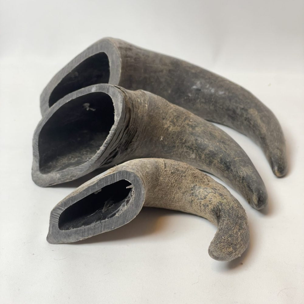 Buffalo Horn Chew image 0