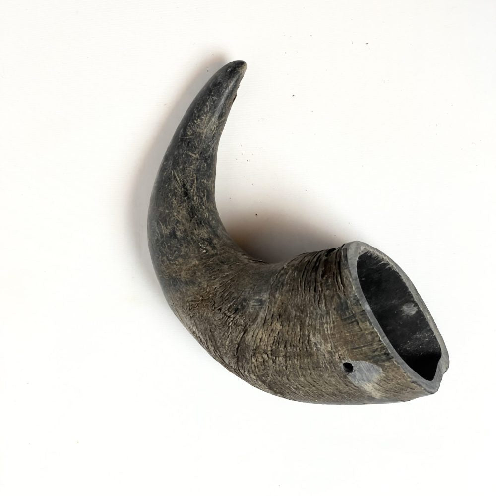 Buffalo Horn Chew image 5