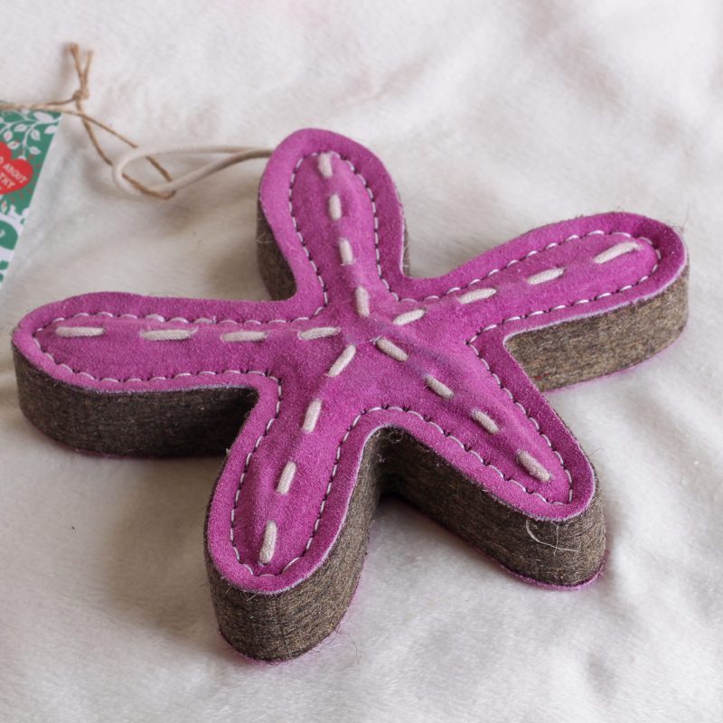 Stanley the Starfish image 3