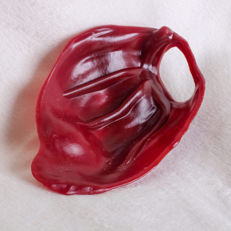 Veggie Pig's Ear image 1