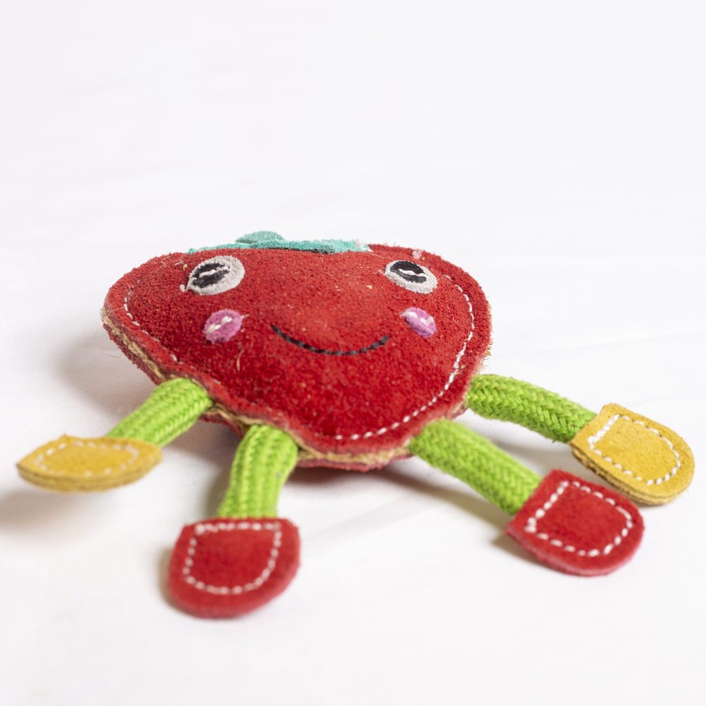 Steve the Strawberry image 1