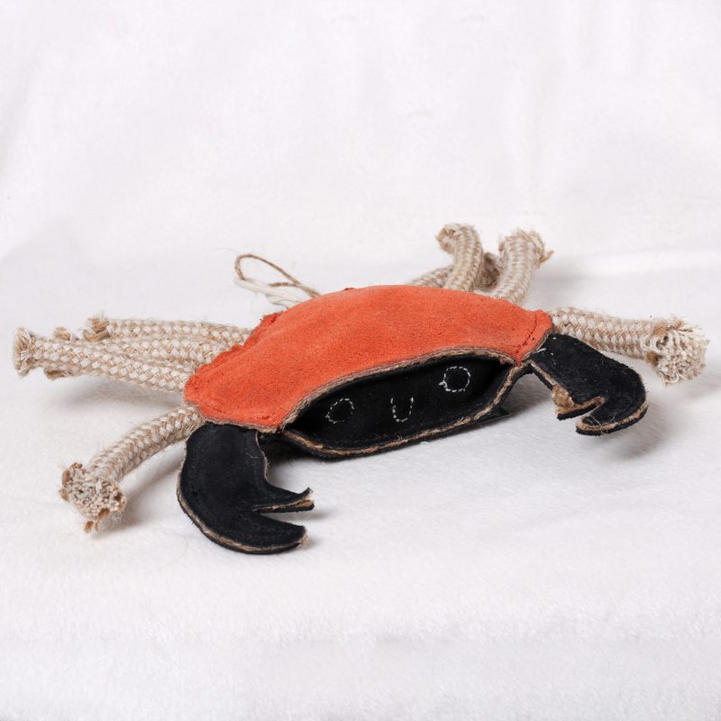 Carlos the Crab image 0