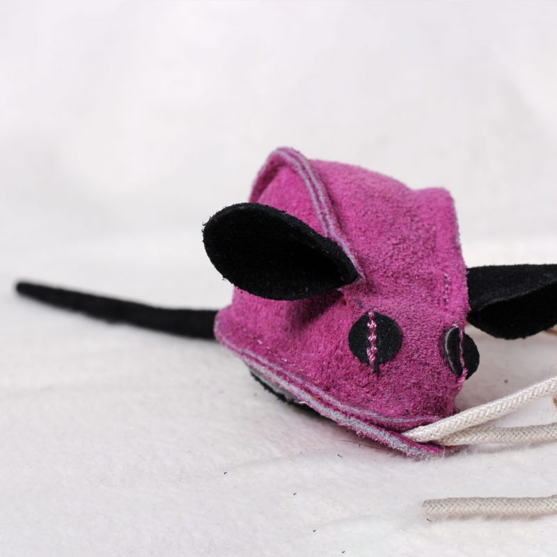 Midge the Mouse image 0