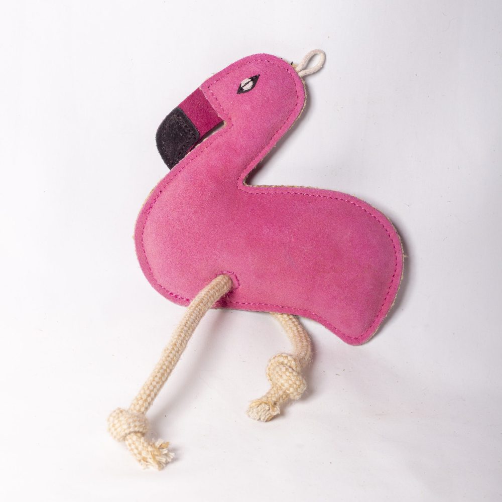 Floyd the Flamingo image 1