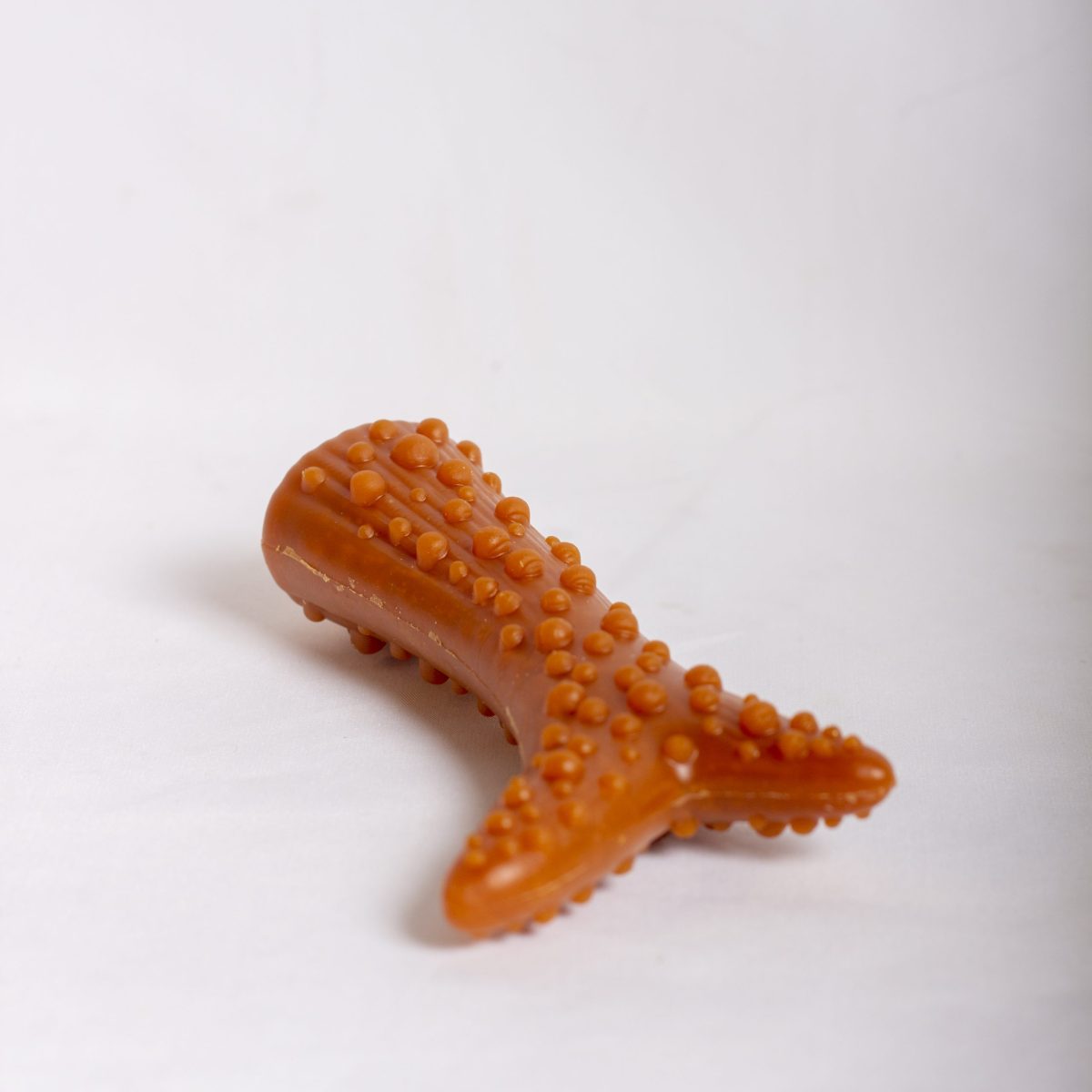 Veggie Filled Antler image 6