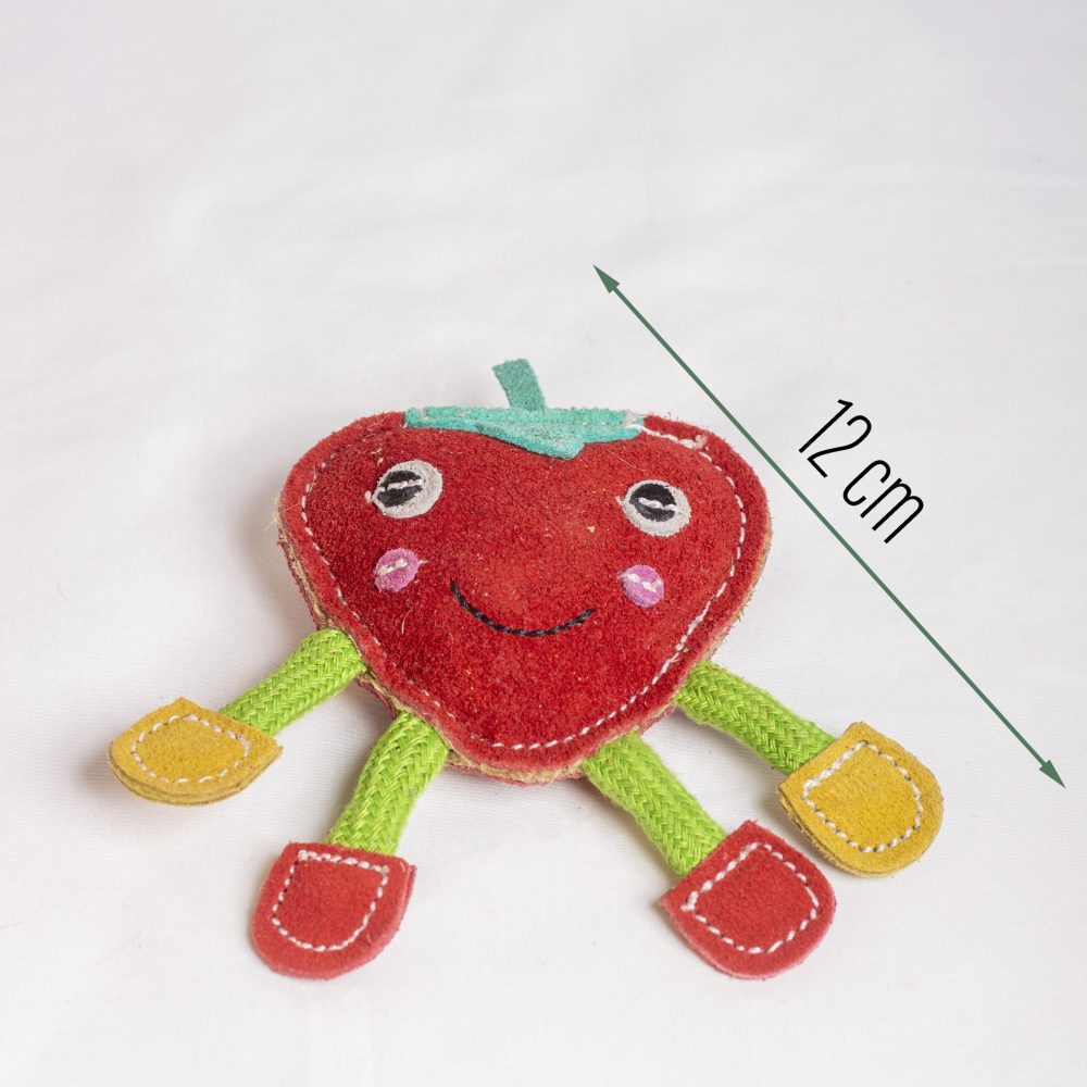 Steve the Strawberry image 2