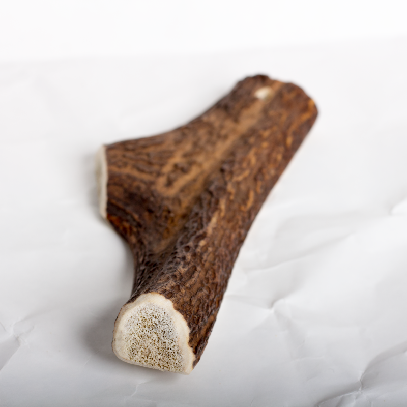 Easy Antler Chew image 1