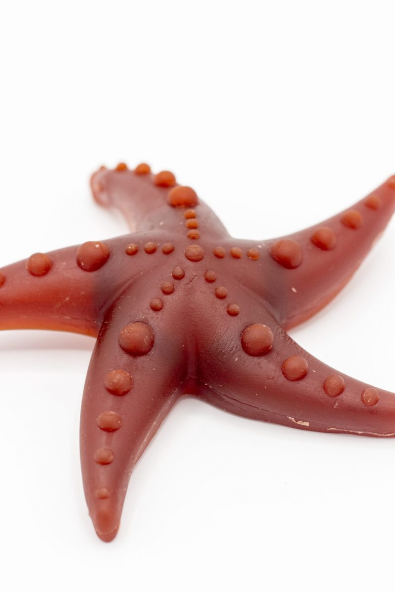 Apple, Broccoli & Mint Starfish Chew image 3