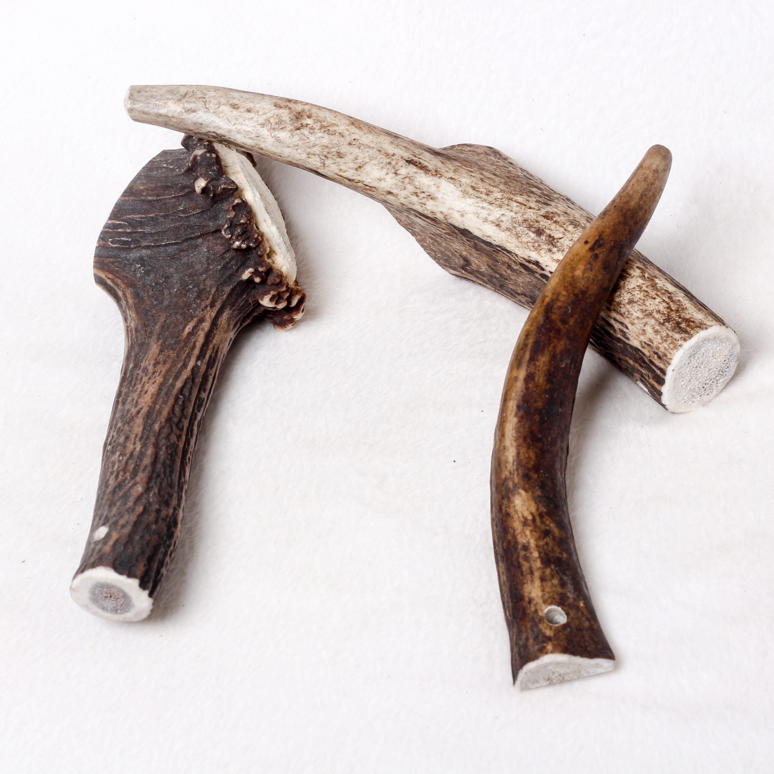 Original Antler Dog Chew image 1