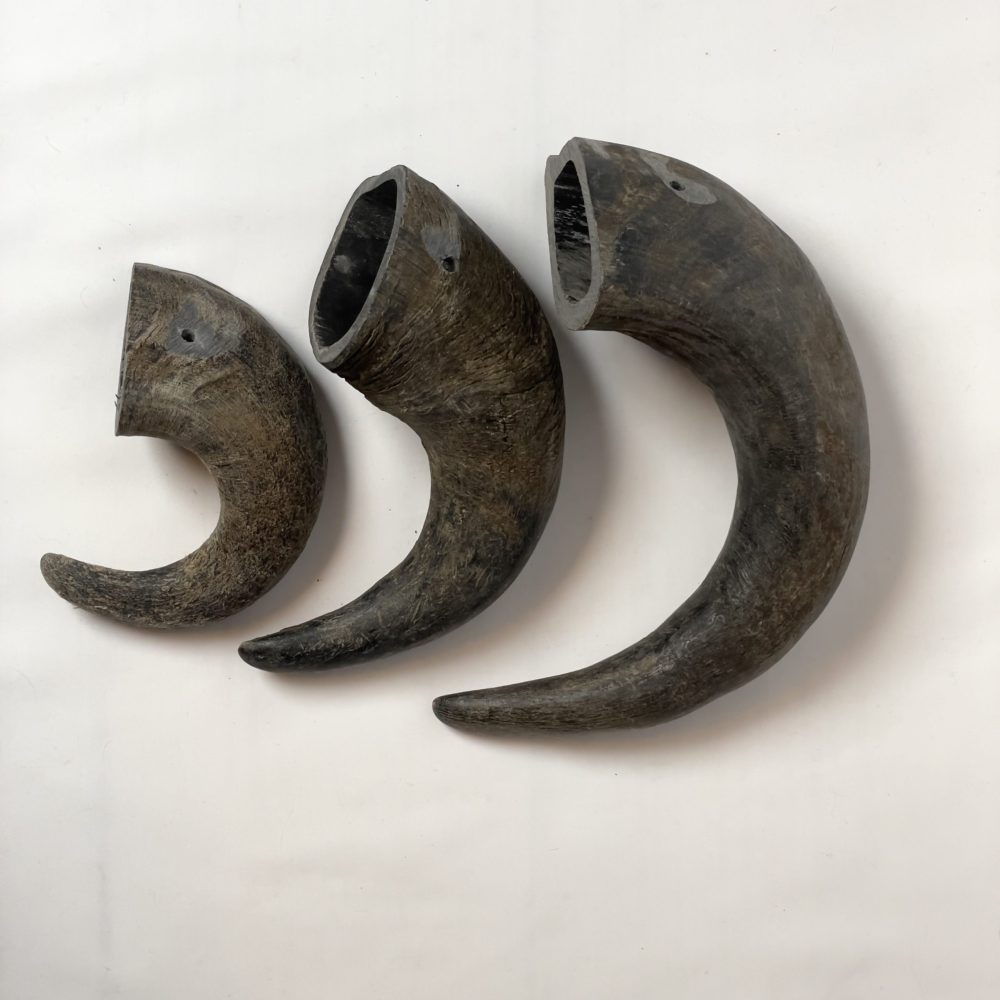 Buffalo Horn Chew image 2