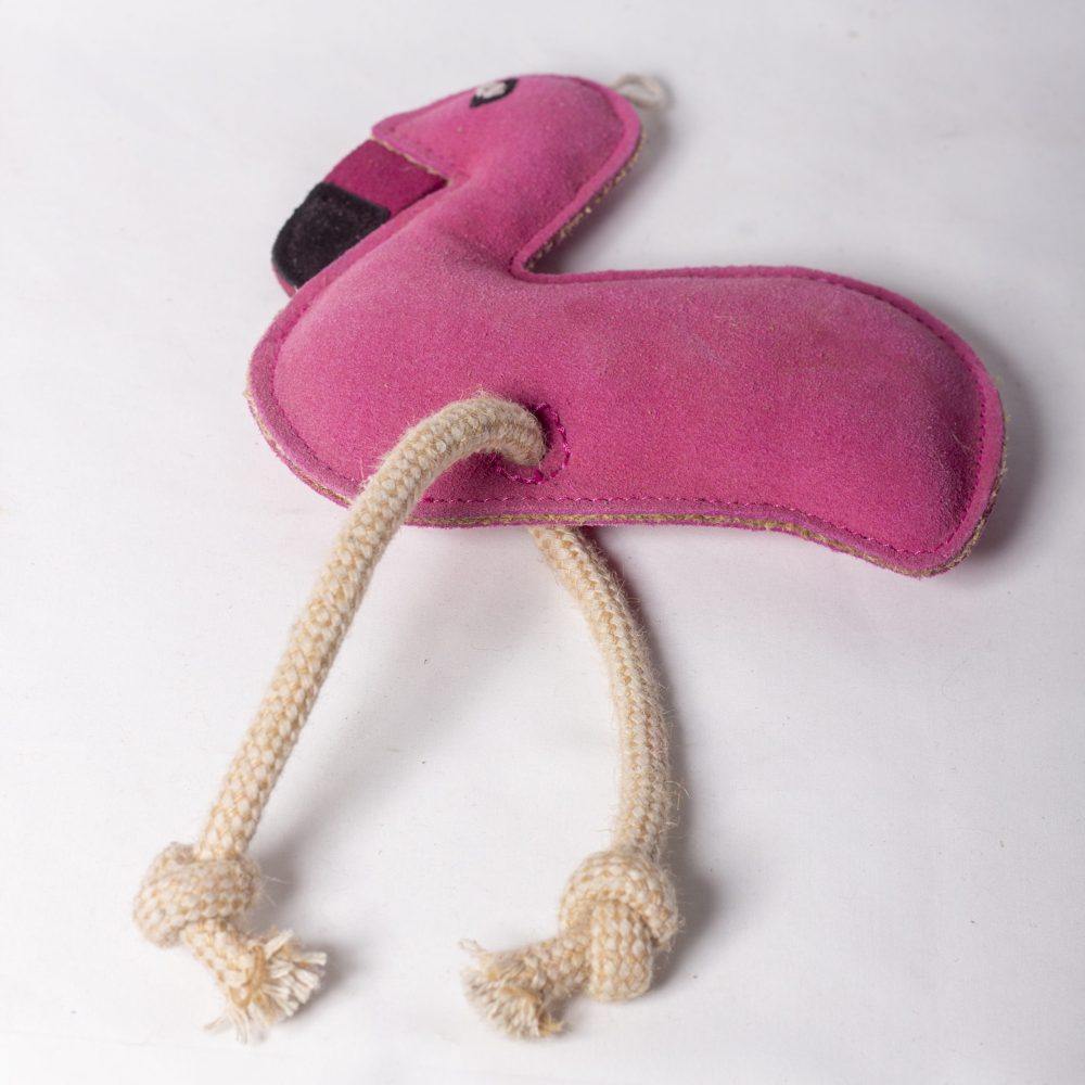 Floyd the Flamingo image 2