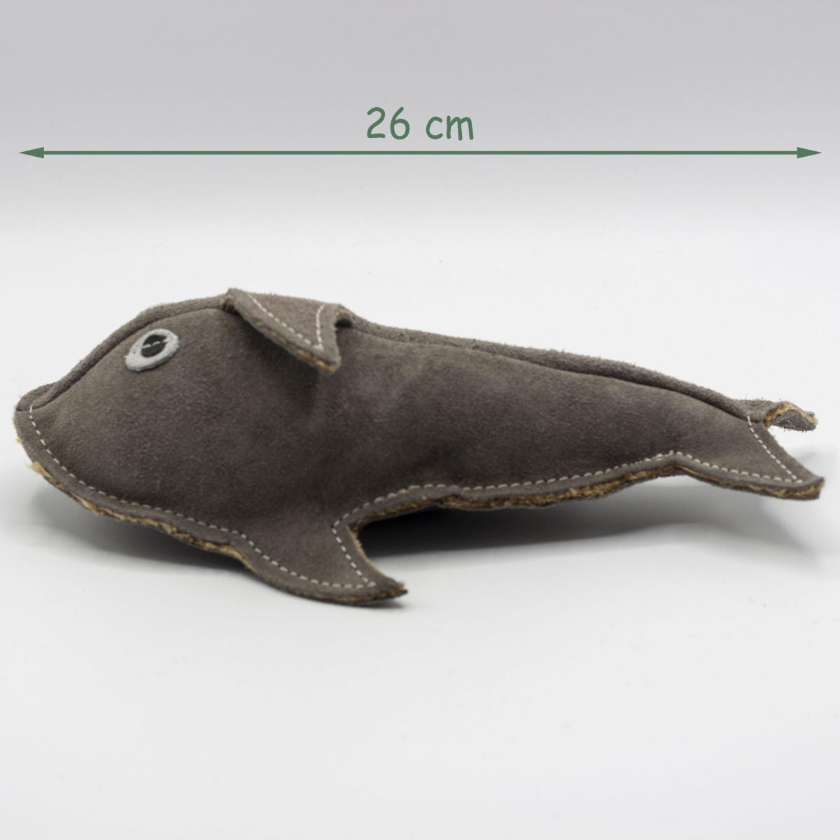 Sidney Shark image 3