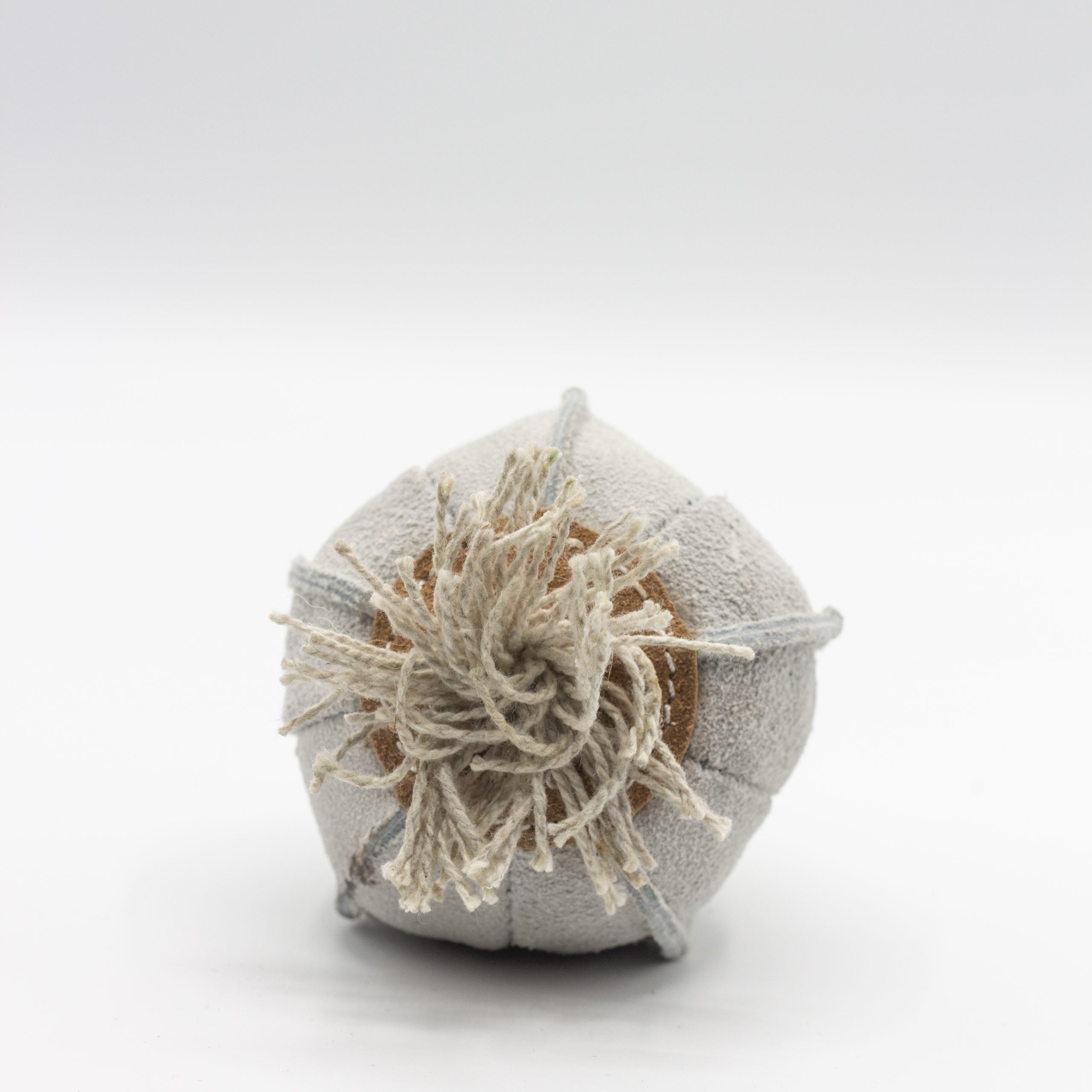 Gary the Garlic image 3