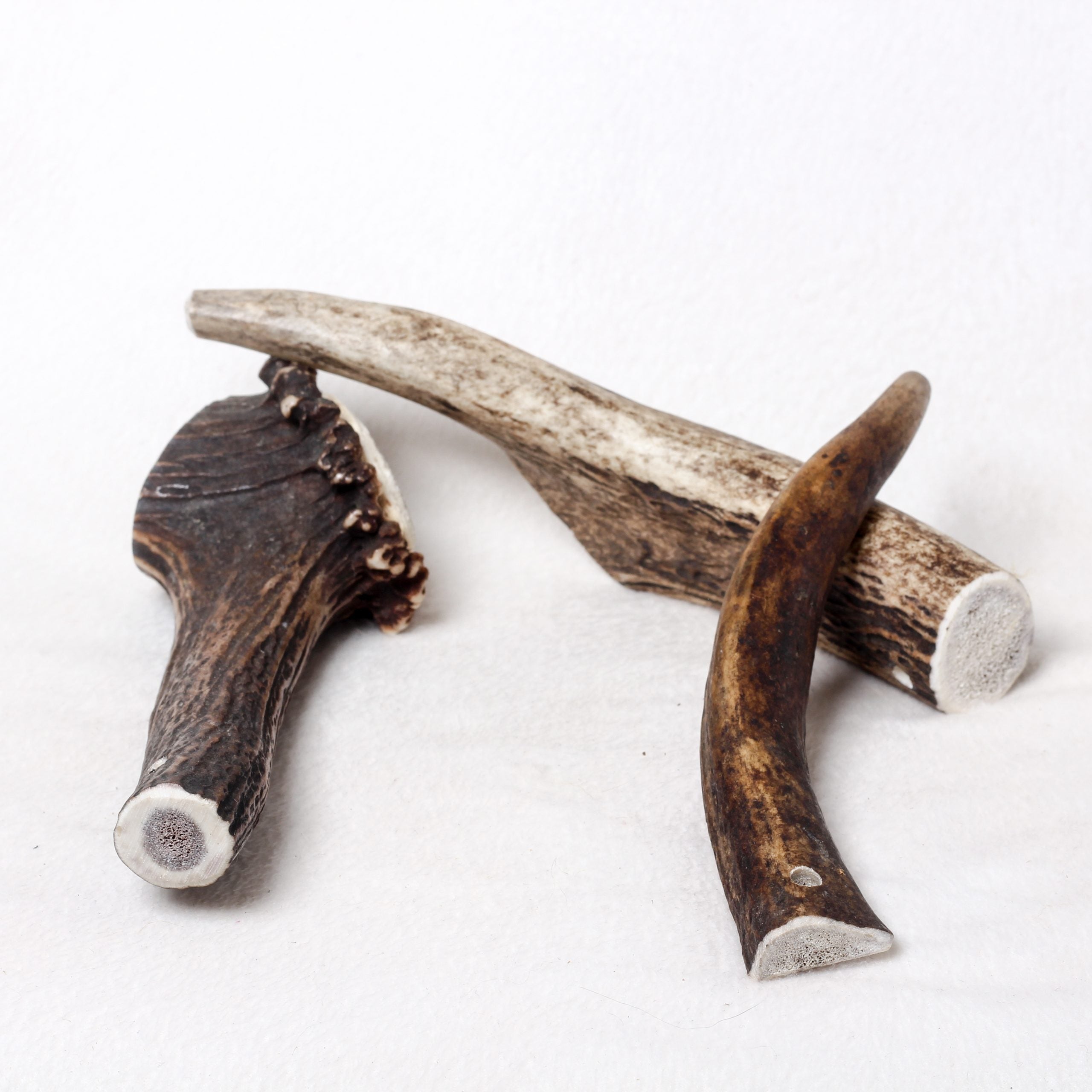 Original Antler Dog Chew image 2