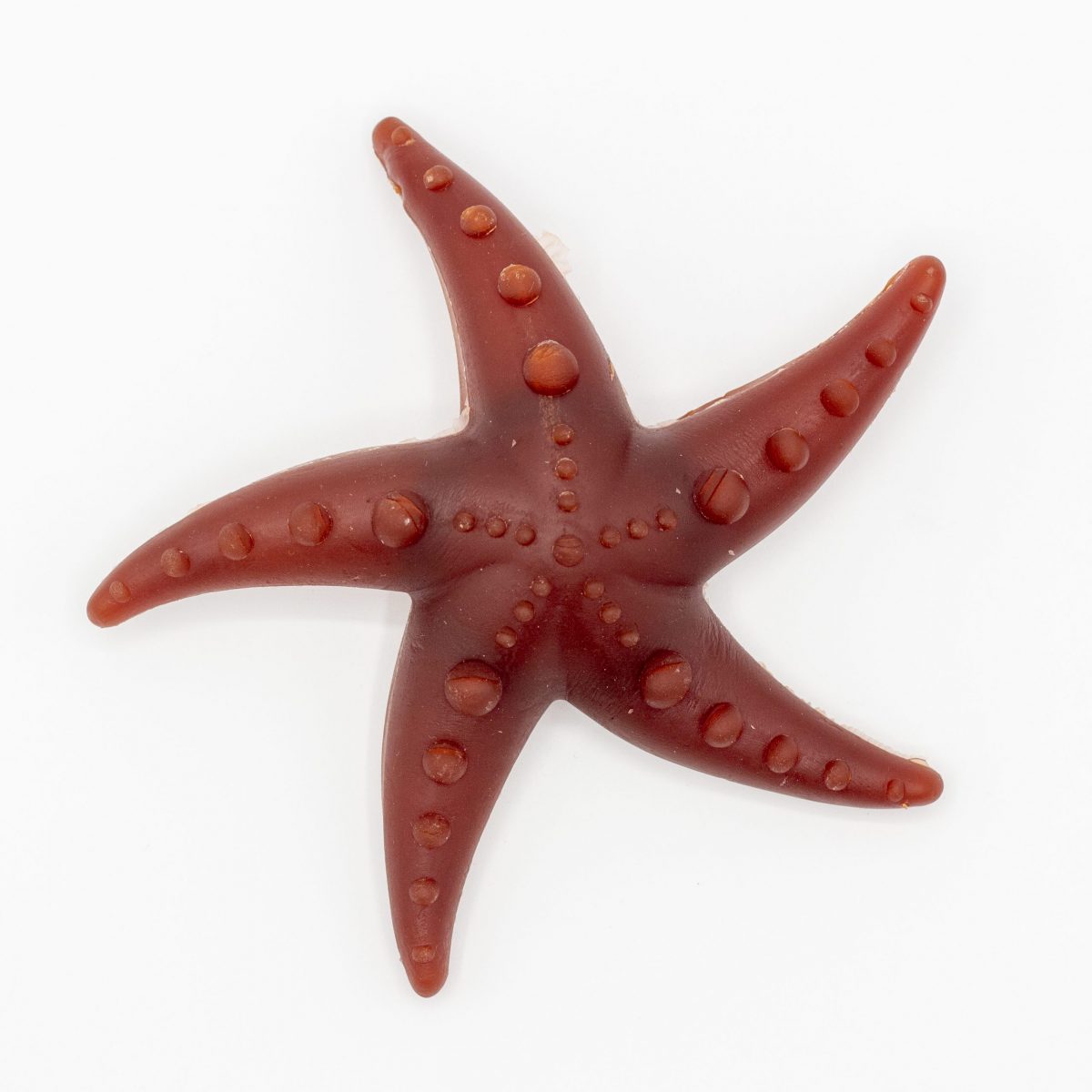 Apple, Broccoli & Mint Starfish Chew image 2